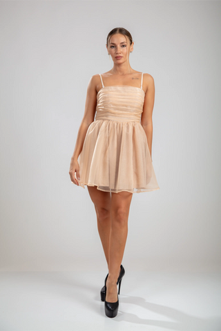 Aurorae Mini Dress – Nude