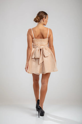Aurorae Mini Dress – Nude