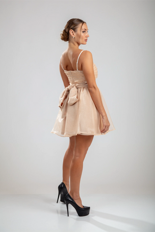 Aurorae Mini Dress – Nude