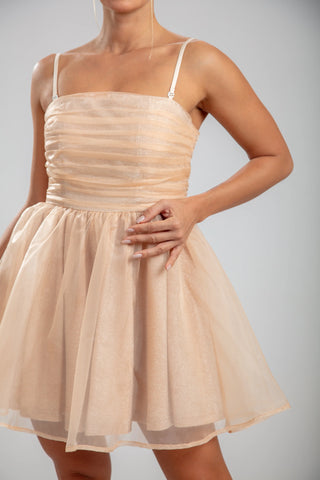 Aurorae Mini Dress – Nude