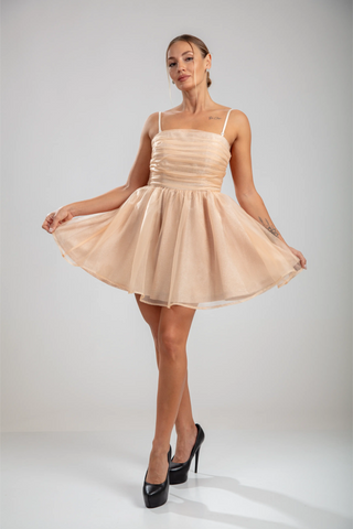 Aurorae Mini Dress – Nude